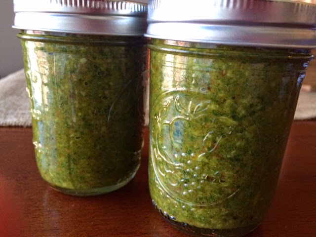 You are currently viewing Recipe: Freezer Pesto